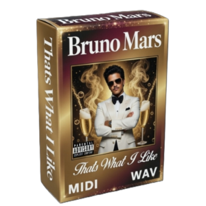 Bruno Mars - That's What I Like