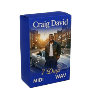 Craig David – 7 Days