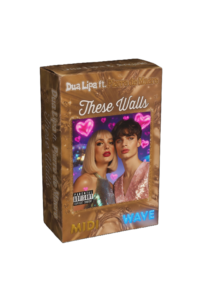 Dua Lipa ft. Pierre de Maere - These Walls