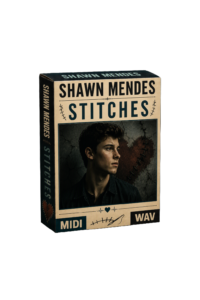 Shawn Mendes - Stitches
