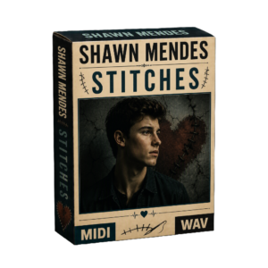 Shawn Mendes - Stitches