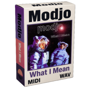 Modjo - What I Mean