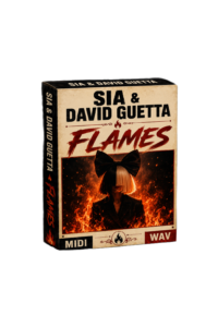 Sia & David Guetta - Flames