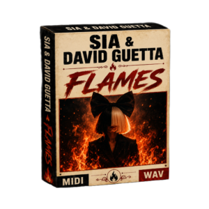 Sia & David Guetta - Flames